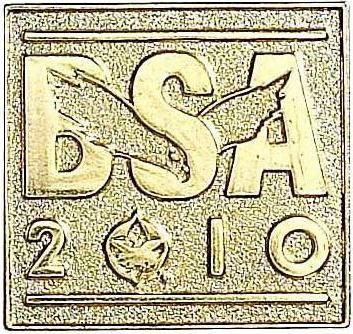 BSA 100th Anniversary pin image