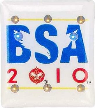 BSA 2010 Pin (flashing) image