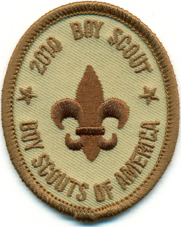 Centennial Rank - Boy Scout - Boy Scout image