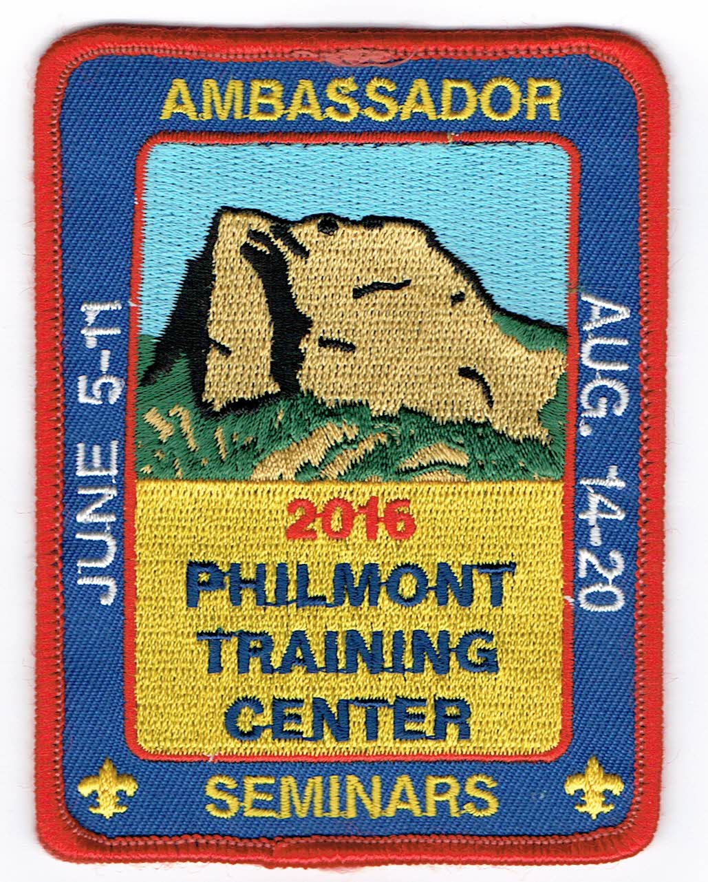 Ambassador Seminars 2016 patch image
