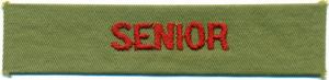 Senior strip image
