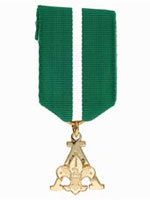 Scouter's Training Award Medal image