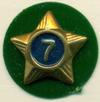 Boy Scout Service Star Year 7 image