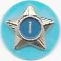 Adult Service Star Year 1 image