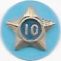 Adult Service Star Year 10 image