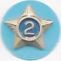 Adult Service Star Year 2 image