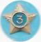 Adult Service Star Year 3 image