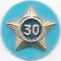 Adult Service Star Year 30 image