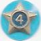 Adult Service Star Year 4 image