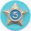 Adult Service Star Year 5 image