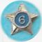 Adult Service Star Year 6 image