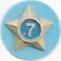 Adult Service Star Year 7 image
