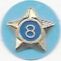 Adult Service Star Year 8 image