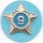 Adult Service Star Year 9 image