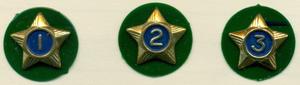 Boy Scout Service Stars Years 1-3 image