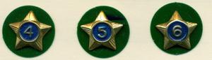 Boy Scout Service Stars years 4-6 image