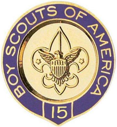 Veteran Scouter Pin - 15 Years image
