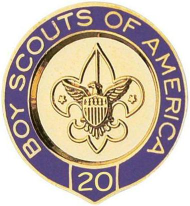 Veteran Scouter Pin - 20 Years image