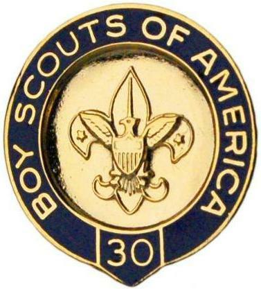 Veteran Scouter Pin - 30 Years image